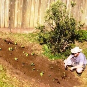 From Lawn to Backyard Garden Bed in 2 Hours Image